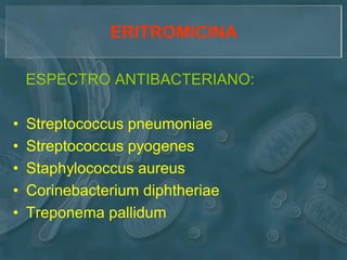 ERITROMICINA

    ESPECTRO ANTIBACTERIANO:

•   Streptococcus pneumoniae
•   Streptococcus pyogenes
•   Staphylococcus aureus
•   Corinebacterium diphtheriae
•   Treponema pallidum
 