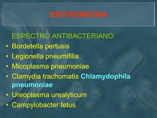 ERITROMICINA

    ESPECTRO ANTIBACTERIANO:
•   Bordetella pertusis
•   Legionella pneumifilia
•   Micoplasma pneumoniae
•   Clamydia trachomatis Chlamydophila
    pneumoniae
•   Ureoplasma urealyticum
•   Campylobacter fetus
 