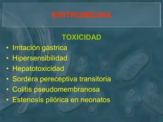 ERITROMICINA

                      TOXICIDAD
•   Irritación gástrica
•   Hipersensibilidad
•   Hepatotoxicidad
•   Sordera pereceptiva transitoria
•   Colitis pseudomembranosa
•   Estenosis pilórica en neonatos
 