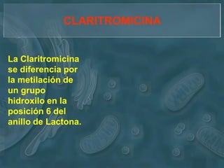 CLARITROMICINA


La Claritromicina
se diferencia por
la metilación de
un grupo
hidroxilo en la
posición 6 del
anillo de Lactona.
 