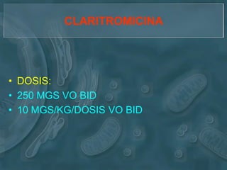 CLARITROMICINA




• DOSIS:
• 250 MGS VO BID
• 10 MGS/KG/DOSIS VO BID
 