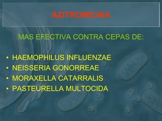 AZITROMICINA

     MAS EFECTIVA CONTRA CEPAS DE:

•   HAEMOPHILUS INFLUENZAE
•   NEISSERIA GONORREAE
•   MORAXELLA CATARRALIS
•   PASTEURELLA MULTOCIDA
 