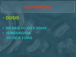 AZITROMICINA

• DOSIS

• 500 MGS VO OD X 3 DIAS
• 10 MGS/KG/DIA
  VO OD X 3 DIAS
 
