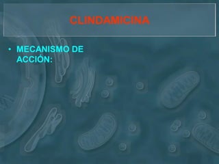 CLINDAMICINA

• MECANISMO DE
  ACCIÓN:
 