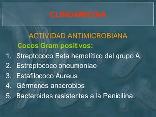 CLINDAMICINA

         ACTIVIDAD ANTIMICROBIANA
     Cocos Gram positivos:
1.   Streptococo Beta hemolítico del grupo A
2.   Estreptococo pneumoniae
3.   Estafilococo Aureus
4.   Gérmenes anaerobios
5.   Bacteroides resistentes a la Penicilina
 
