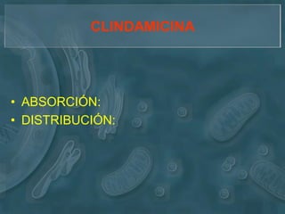 CLINDAMICINA




• ABSORCIÓN:
• DISTRIBUCIÓN:
 