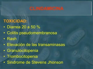 CLINDAMICINA

TOXICIDAD:
• Diarrea 20 a 50 %
• Colitis pseudomembranosa
• Rash
• Elevación de las transaminasas
• Granulocitopenia
• Trombocitopenia
• Sindrome de Stevens Jhonson
 