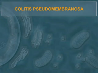 COLITIS PSEUDOMEMBRANOSA
 