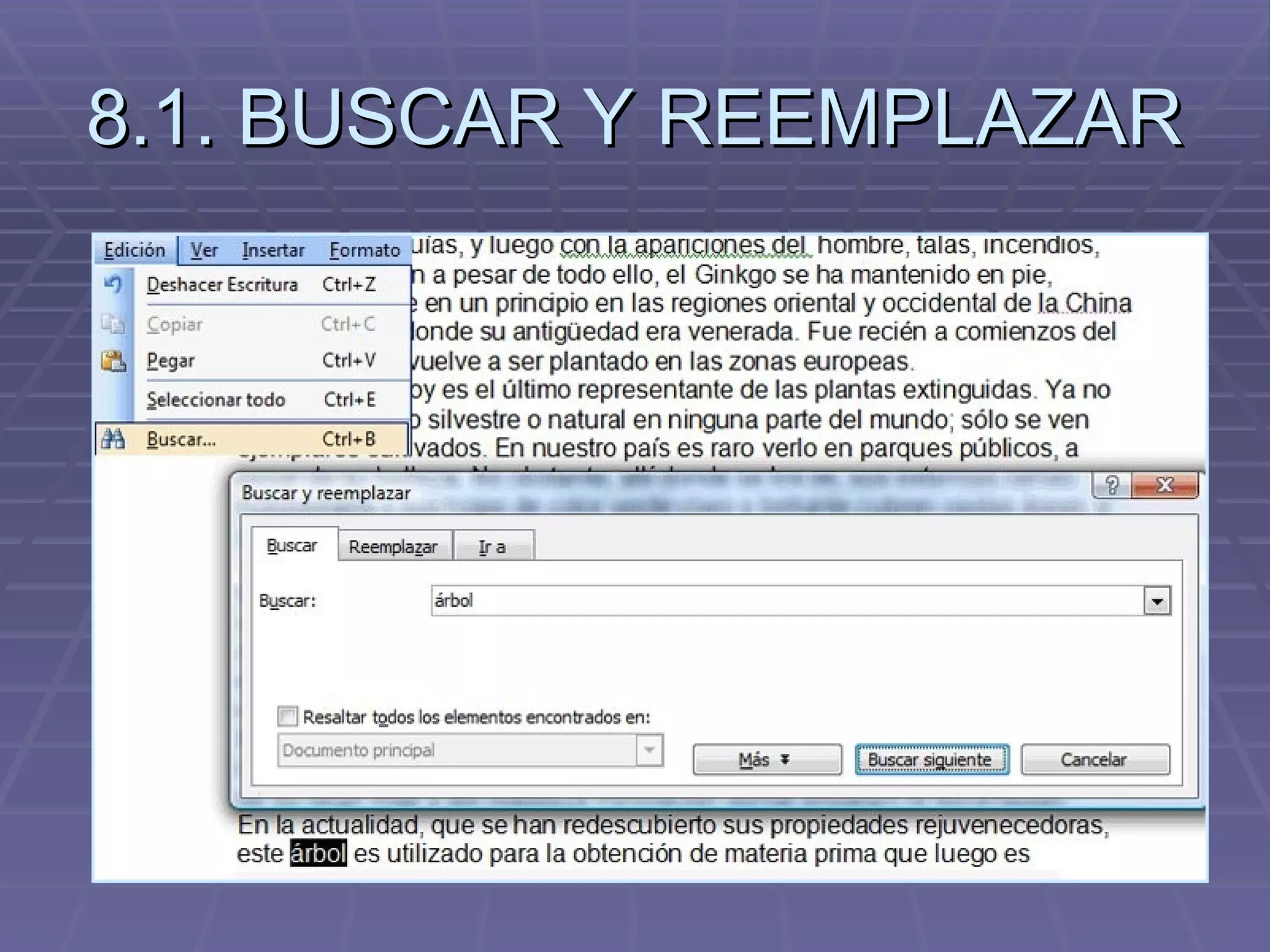 8.1. BUSCAR Y REEMPLAZAR  
