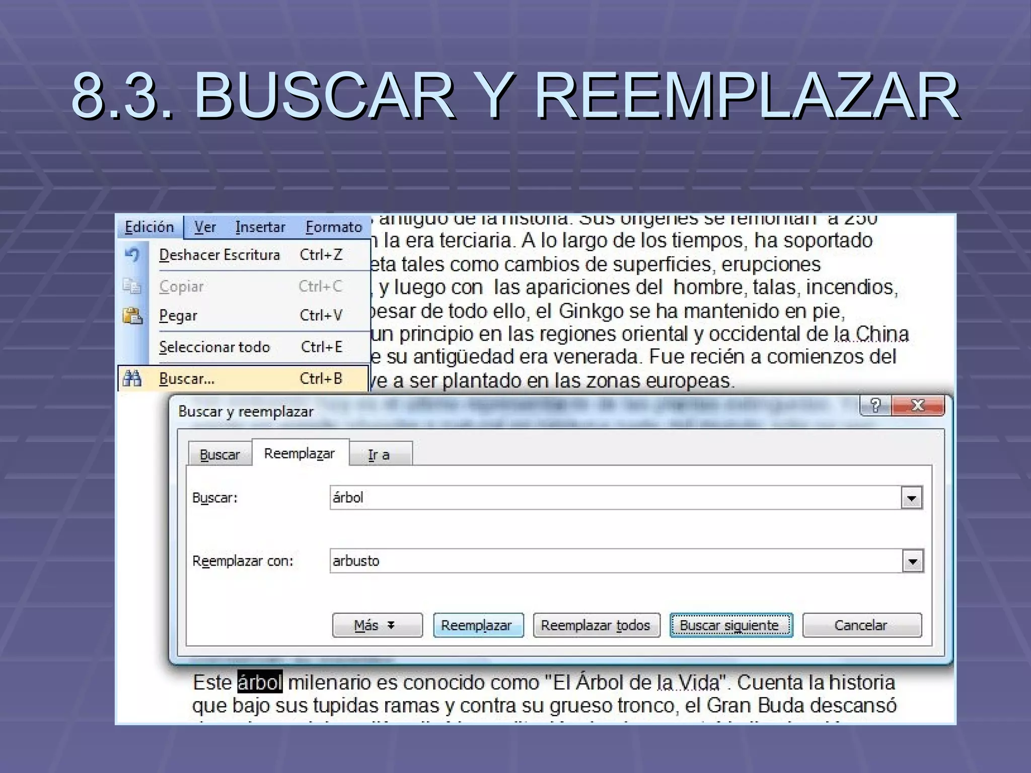 8.3. BUSCAR Y REEMPLAZAR  