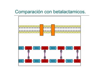 Comparación con betalactamicos. 