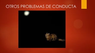 OTROS PROBLEMAS DE CONDUCTA
 