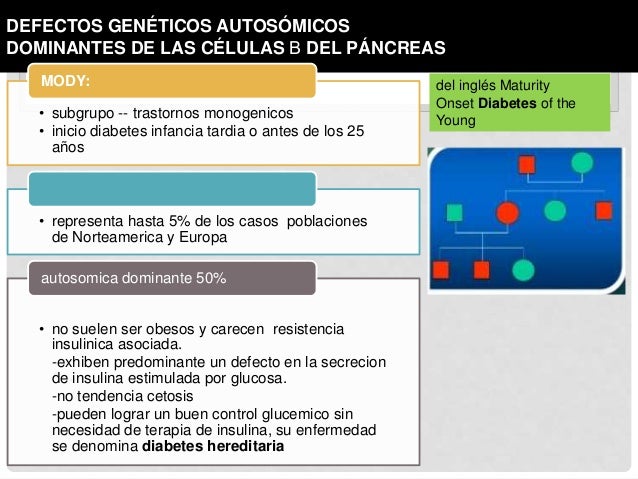 Otros tipos de diabetes y diabetes gestacional Otros tipos de diabetes y diabetes gestacional