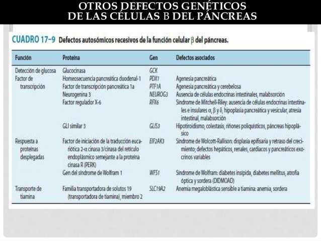 Otros tipos de diabetes y diabetes gestacional Otros tipos de diabetes y diabetes gestacional