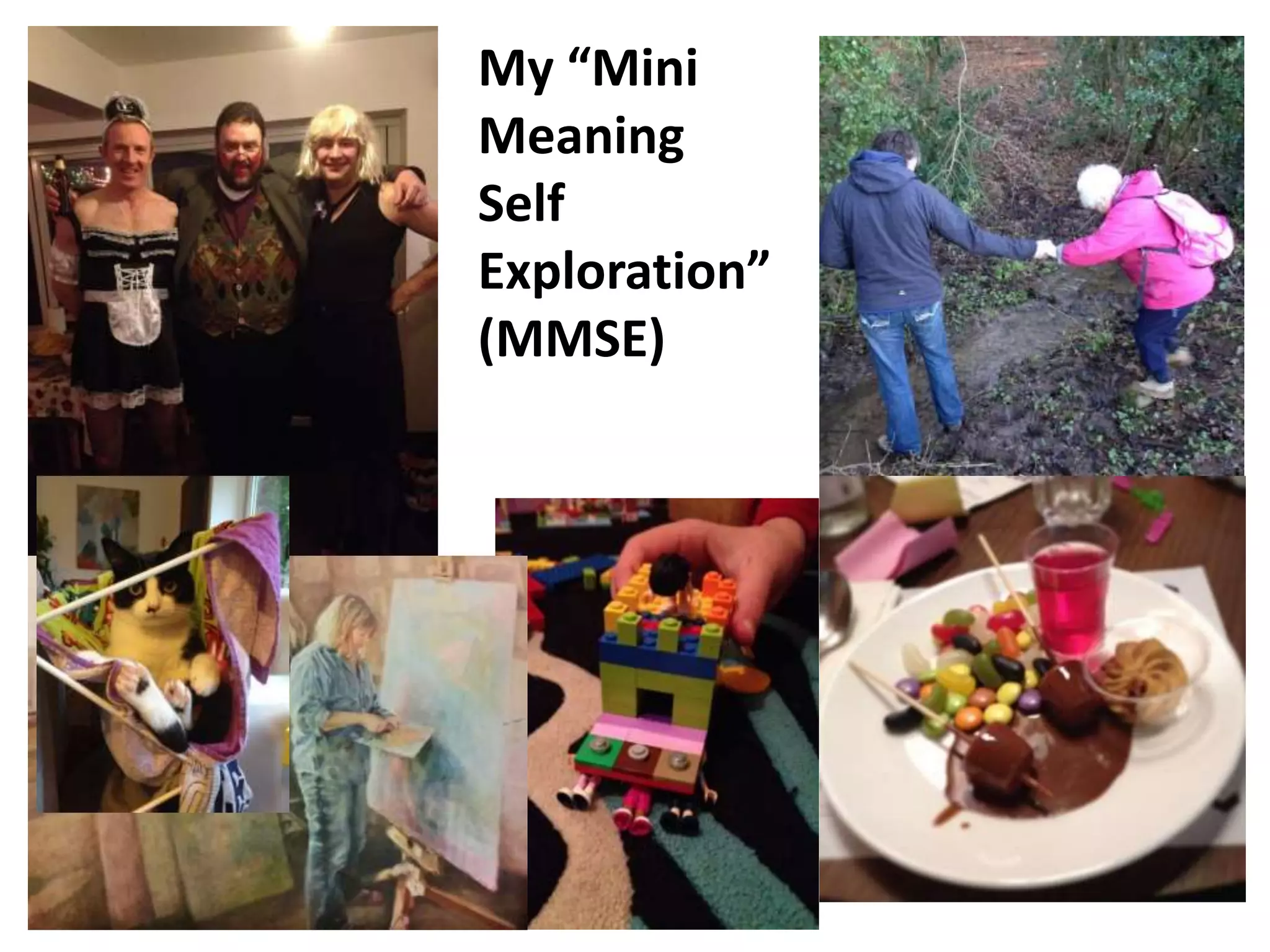 My “Mini 
Meaning 
Self 
Exploration” 
(MMSE) 
 