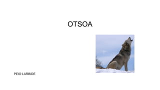 OTSOA
PEIO LARBIDE