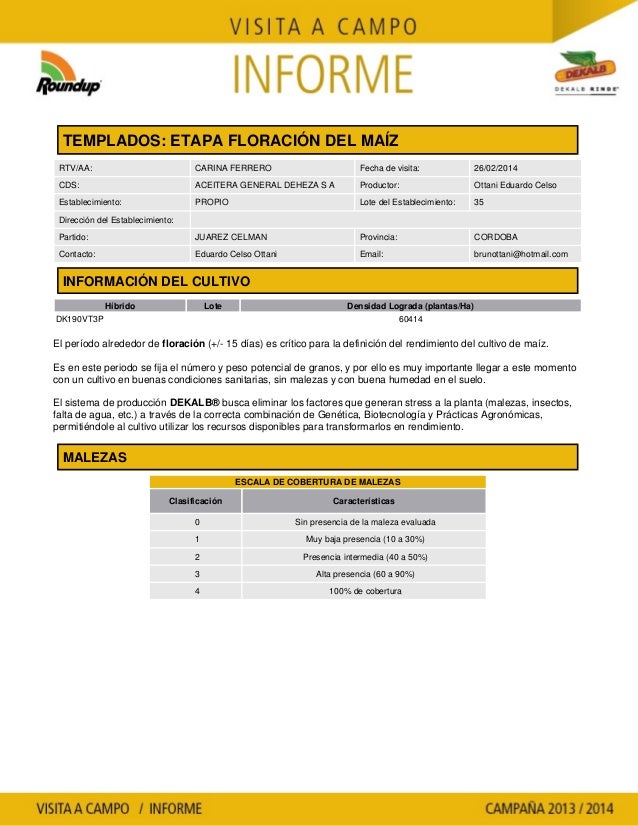 Agrotestigo-Maiz DEKALB-Campaña 1314-Informe Floración-OTTANI EDUARDO CELSO-Nº 17