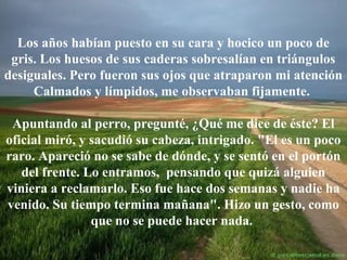 Los años habían puesto en su cara y hocico un poco de
gris. Los huesos de sus caderas sobresalían en triángulos
desiguales. Pero fueron sus ojos que atraparon mi atención
Calmados y límpidos, me observaban fijamente.
Apuntando al perro, pregunté, ¿Qué me dice de éste? El
oficial miró, y sacudió su cabeza, intrigado. "El es un poco
raro. Apareció no se sabe de dónde, y se sentó en el portón
del frente. Lo entramos, pensando que quizá alguien
viniera a reclamarlo. Eso fue hace dos semanas y nadie ha
venido. Su tiempo termina mañana". Hizo un gesto, como
que no se puede hacer nada.

 