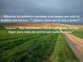 Mientras las palabras entraban a mi mente, me volví al
hombre con horror... "¿Quiere decir que lo van a matar?"
"Señora", dijo dulcemente, "Es el reglamento. No hay
lugar para todos los perros que nadie reclama"

 
