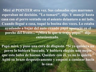 Miré al POINTER otra vez. Sus calmados ojos marrones
esperaban mi decisión. "Lo tomaré", dije. Y manejé hasta
casa con el perro sentado en el asiento delantero a mi lado.
Cuando llegué a casa, toqué la bocina dos veces. Lo estaba
ayudando a bajar del auto cuando papá apareció en el
porche del frente... “¡Mira lo que te traje, papá!” dije
entusiasmada.
Papá miró, y puso una cara de disgusto. “Si yo quisiera un
perro lo hubiera buscado. Y hubiera elegido uno mejor
que esta bolsa de huesos. Quédate con él, yo no lo quiero.”
Agitó su brazo despectivamente y empezó a caminar hacia
la casa.

 