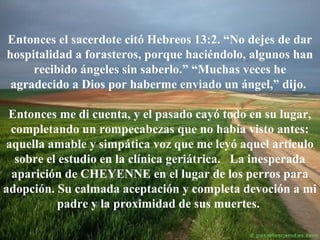 Entonces el sacerdote citó Hebreos 13:2. “No dejes de dar
hospitalidad a forasteros, porque haciéndolo, algunos han
recibido ángeles sin saberlo.” “Muchas veces he
agradecido a Dios por haberme enviado un ángel,” dijo.
Entonces me di cuenta, y el pasado cayó todo en su lugar,
completando un rompecabezas que no había visto antes:
aquella amable y simpática voz que me leyó aquel artículo
sobre el estudio en la clínica geriátrica. La inesperada
aparición de CHEYENNE en el lugar de los perros para
adopción. Su calmada aceptación y completa devoción a mi
padre y la proximidad de sus muertes.

 