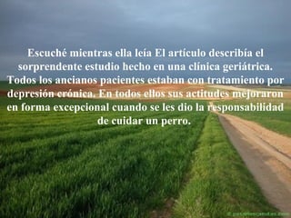 Escuché mientras ella leía El artículo describía el
sorprendente estudio hecho en una clínica geriátrica.
Todos los ancianos pacientes estaban con tratamiento por
depresión crónica. En todos ellos sus actitudes mejoraron
en forma excepcional cuando se les dio la responsabilidad
de cuidar un perro.

 