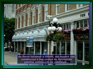 As flores invadem a cidade, até mesmo nas residências e nos postes de iluminação pública, enfeitando os caminhos... 