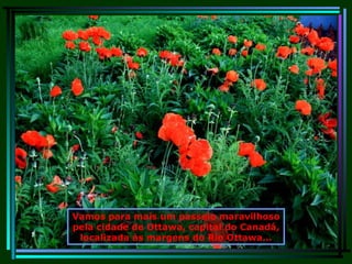 Vamos para mais um passeio maravilhoso pela cidade de Ottawa, capital do Canadá, localizada às margens do Rio Ottawa... 