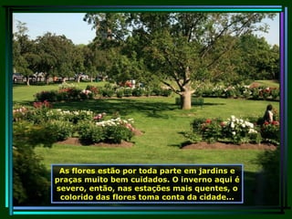 As flores estão por toda parte em jardins e praças muito bem cuidados. O inverno aqui é severo, então, nas estações mais quentes, o colorido das flores toma conta da cidade... 