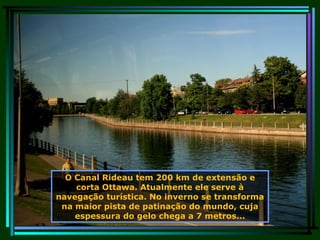 O Canal Rideau tem 200 km de extensão e corta Ottawa. Atualmente ele serve à navegação turística. No inverno se transforma na maior pista de patinação do mundo, cuja espessura do gelo chega a 7 metros... 