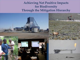 Achieving Net Positive Impacts
for Biodiversity
Through the Mitigation Hierarchy

 