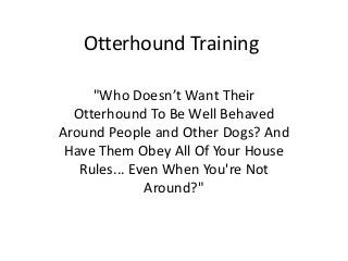 Otterhound Training

     "Who Doesn’t Want Their
  Otterhound To Be Well Behaved
Around People and Other Dogs? And
 Have Them Obey All Of Your House
   Rules... Even When You're Not
              Around?"
 