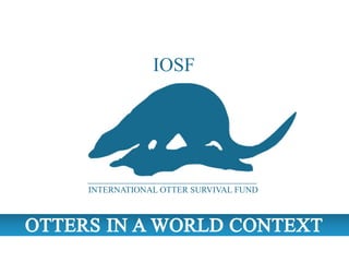 IOSF
INTERNATIONAL OTTER SURVIVAL FUND
 