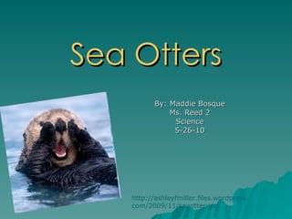 Sea Otters By: Maddie Bosque Ms. Reed 2 Science 5-26-10 http://ashleyfmiller.files.wordpress.com/2009/11/seaotter.jpg 