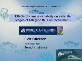 Effects of climate variability on early life
stages of fish (and thus on recruitment)
Geir Ottersen
with input from
Trond Kristiansen
FishExchange Solstrand 19-21 January 2011
 