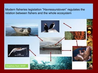 Modern fisheries legislation ”Havressursloven” regulates the
relation between fishers and the whole ecosystem
Graphics from WWF
 