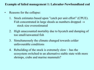 • Reasons for the collapse:
1. Stock estimates based upon ”catch per unit effort” (CPUE).
Fish concentrated in large shoals as numbers dropped →
stock size overestimated
2. High unaccounted mortality due to bycatch and dumping of
too small/unwanted fish
3. Simultaneously the climate changed towards colder
unfavourable conditions
4. Rebuilding of the stock is extremely slow – has the
ecosystem switched to an alternative stable state with more
shrimps, crabs and marine mammals?
Example of failed management 1: Labrador-Newfoundland cod
 