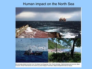 Human impact on the North Sea
 