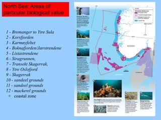 North Sea: Areas of
particular biological value
1 - Bremanger to Ytre Sula
2 - Korsfjorden
3 - Karmøyfeltet
4 - Boknafjorden/Jærstrendene
5 - Listastrendene
6 - Siragrunnen,
7 - Transekt Skagerrak,
8 - Ytre Oslofjord
9 - Skagerrak
10 - sandeel grounds
11 - sandeel grounds
12 - mackerel grounds
+ coastal zone
 