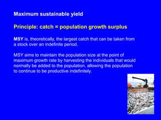 Maximum sustainable yield
Principle: catch = population growth surplus
MSY is, theoretically, the largest catch that can be taken from
a stock over an indefinite period.
MSY aims to maintain the population size at the point of
maximum growth rate by harvesting the individuals that would
normally be added to the population, allowing the population
to continue to be productive indefinitely.
 