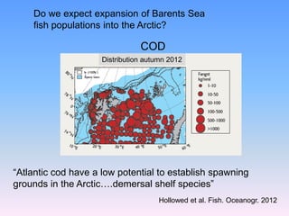 Do we expect expansion of Barents Sea
fish populations into the Arctic?
“Atlantic cod have a low potential to establish spawning
grounds in the Arctic….demersal shelf species”
Hollowed et al. Fish. Oceanogr. 2012
COD
Distribution autumn 2012
 