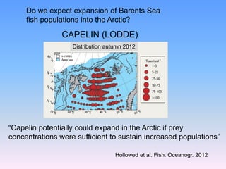 Do we expect expansion of Barents Sea
fish populations into the Arctic?
“Capelin potentially could expand in the Arctic if prey
concentrations were sufficient to sustain increased populations”
Hollowed et al. Fish. Oceanogr. 2012
CAPELIN (LODDE)
Distribution autumn 2012
 