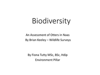 Biodiversity
An Assessment of Otters in Naas
By Brian Keeley – Wildlife Surveys
By Fiona Tutty MSc, BSc, Hdip
Environment Pillar
 
