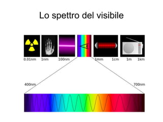 Lo spettro del visibile
 