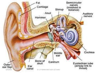 6/4/2021 Dr. S P NAYAK MED EASY LECTURES
 