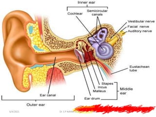 6/4/2021 Dr. S P NAYAK MED EASY LECTURES
 