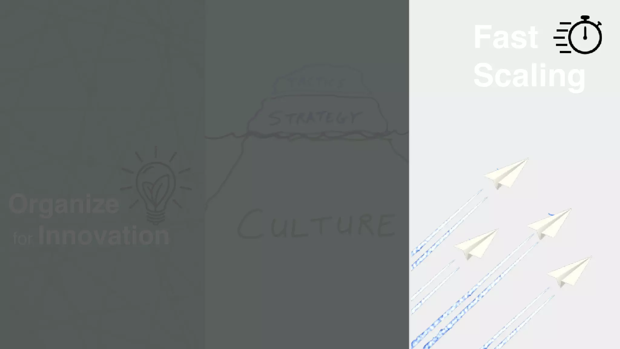 Fast
Scaling
Organize
for Innovation
 