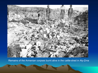 Remains of the Armenian corpses burnt alive in the cattle-shed in Aly-Zrna  