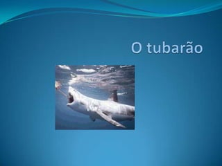 O tubarão 