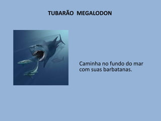 TUBARÃO  MEGALODONCaminha no fundo do mar com suas barbatanas.